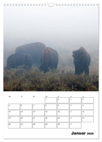 Produktbild: Yellowstone und Grand Tetons Nationalparks (Wandkalender 2026 DIN A3 hoch), CALVENDO Monatskalender