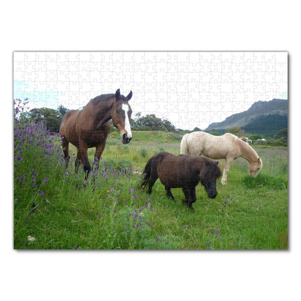 Produktbild: Lais Puzzle Pferde 500 Teile