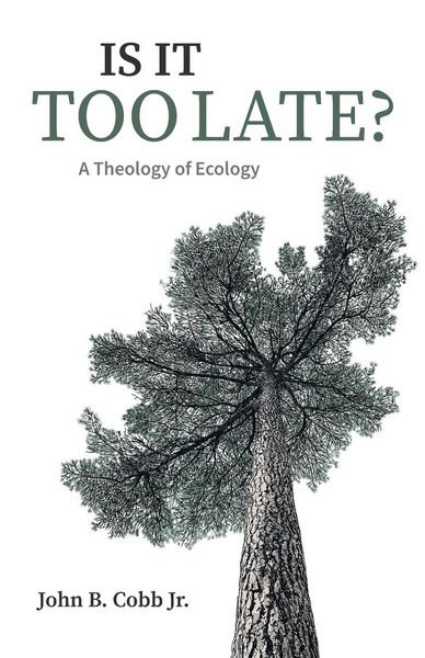 Produktbild: Is It Too Late?