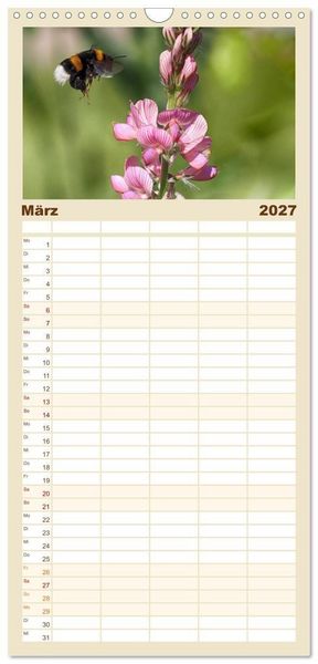 Produktbild: Familienplaner 2027 - Hummelflug mit 5 Spalten (Wandkalender, 21 x 45 cm) CALVENDO