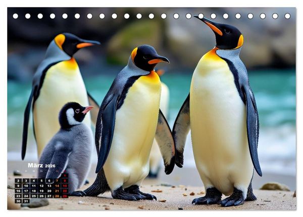 Produktbild: Mit den Pinguinen (Tischkalender 2026 DIN A5 quer), CALVENDO Monatskalender