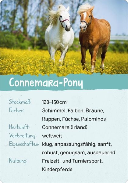 Produktbild: Naturforscher-Kids &ndash; Pferde & Ponys