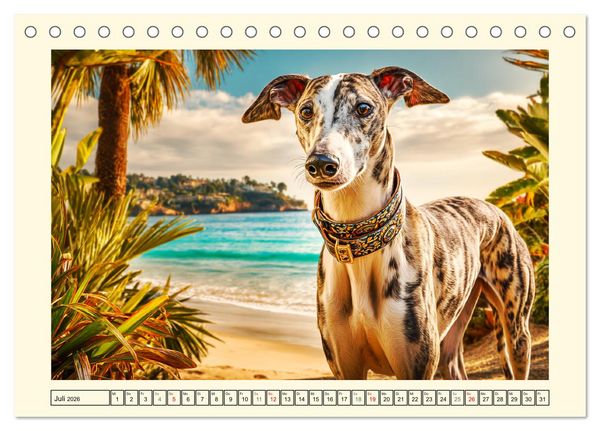 Produktbild: Whippet Wunder. Grazile Hunde mit sanfter Kraft und feiner Seele (Tischkalender 2026 DIN A5 quer), CALVENDO Monatskalender