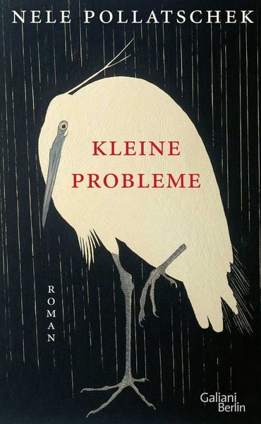 Produktbild: Kleine Probleme