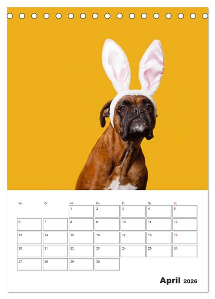 Produktbild: colorful world of boxer 2026 (Tischkalender 2026 DIN A5 hoch), CALVENDO Monatskalender