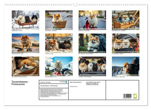 Produktbild: Tausendsassa - Pomeranian (Wandkalender 2026 DIN A2 quer), CALVENDO Monatskalender