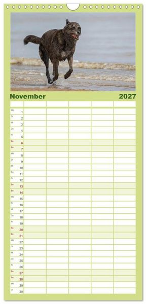 Produktbild: Familienplaner 2027 - Hunde Action mit 5 Spalten (Wandkalender, 21 x 45 cm) CALVENDO