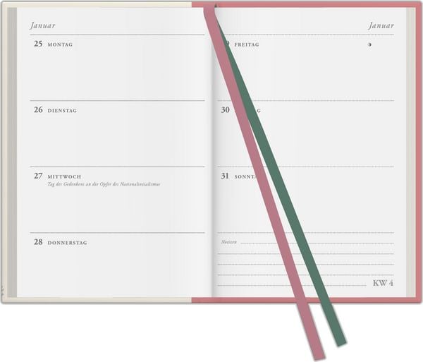Produktbild: Redoutes Rosen 2027
