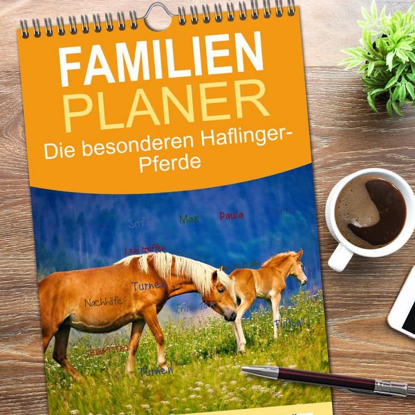 Produktbild: Familienplaner 2026 - Die besonderen Haflinger-Pferde mit 5 Spalten (Wandkalender, 21 x 45 cm) CALVENDO