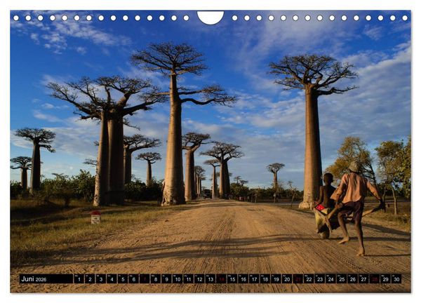 Produktbild: Madagaskar - Impressionen von Rolf Dietz (Wandkalender 2026 DIN A4 quer), CALVENDO Monatskalender