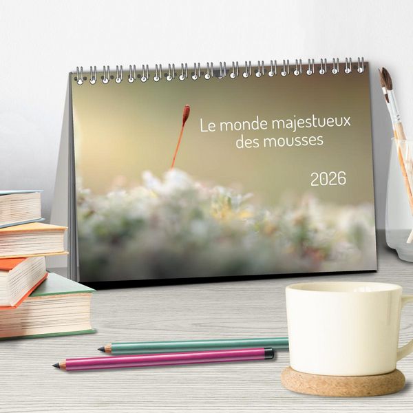 Produktbild: Le monde majestueux des mousses (Calendrier de bureau 2026 DIN A5 vertical), CALVENDO calendrier mensuel
