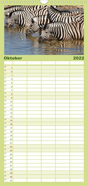 Produktbild: Familienplaner Zebras - Faszination der Wildnis (Wandkalender 2022 , 21 cm x 45 cm, hoch)