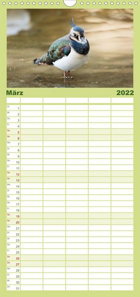 Produktbild: Familienplaner Pellworm 2022 (Wandkalender 2022 , 21 cm x 45 cm, hoch)