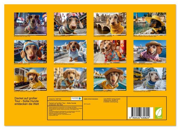 Produktbild: Dackel auf gro&szlig;er Tour - S&uuml;&szlig;e Hunde entdecken die Welt (Wandkalender 2026 DIN A4 quer), CALVENDO Monatskalender