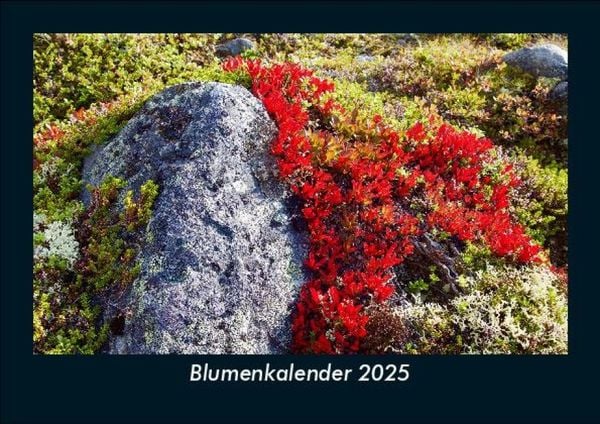Produktbild: Blumenkalender 2025 Fotokalender DIN A5