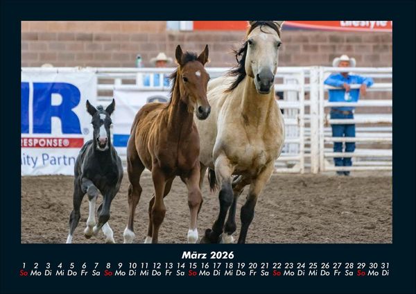 Produktbild: Die Welt der Pferde 2026 Fotokalender DIN A4