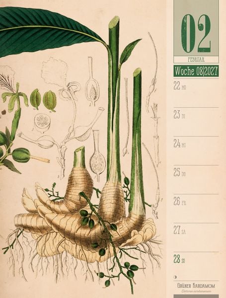 Produktbild: Culinarium Wochenplaner Kalender 2027 | K&uuml;che, Kr&auml;uter, Kurioses