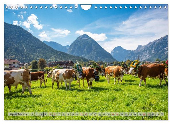 Produktbild: Achensee - im Herzen der Tiroler Alpen (Wandkalender 2026 DIN A4 quer), CALVENDO Monatskalender