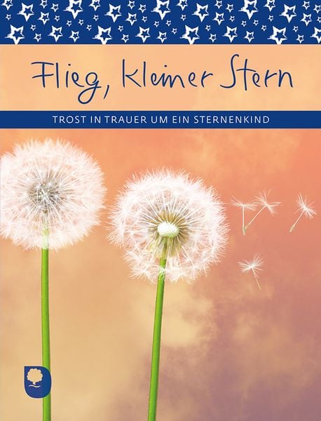 Flieg, kleiner Stern, Taschenbuch von , Verlag am Eschbach, 9783869179780