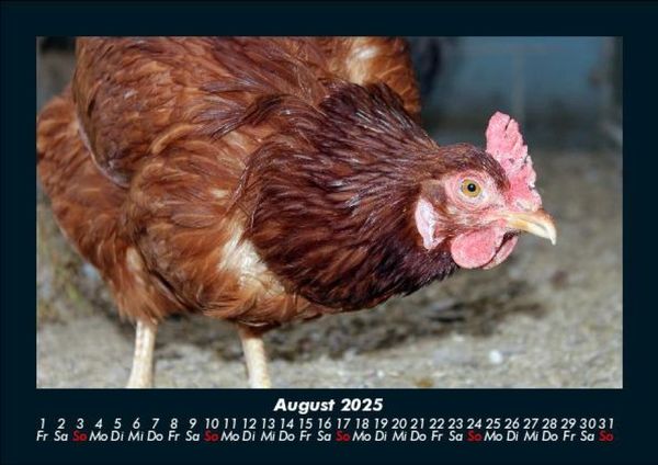 Produktbild: Tiere auf dem Bauernhof 2025 Fotokalender DIN A5