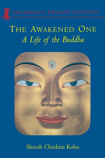 Produktbild: The Awakened One