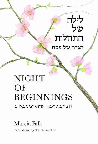 Produktbild: Night of Beginnings