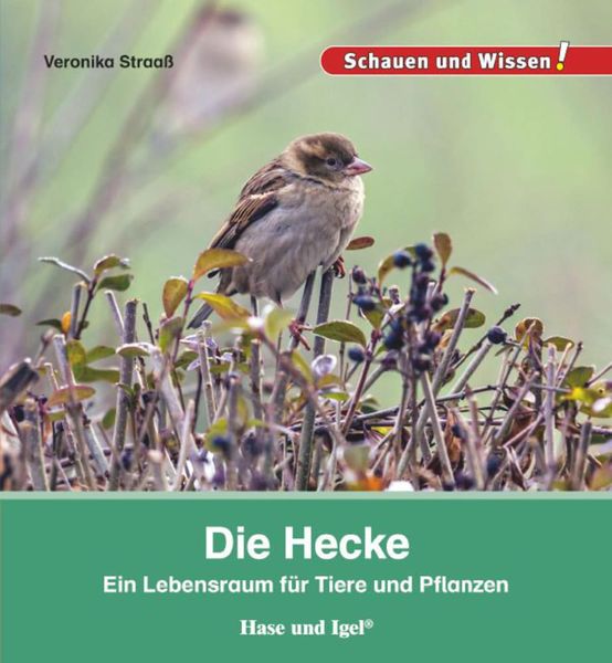 Produktbild: Die Hecke