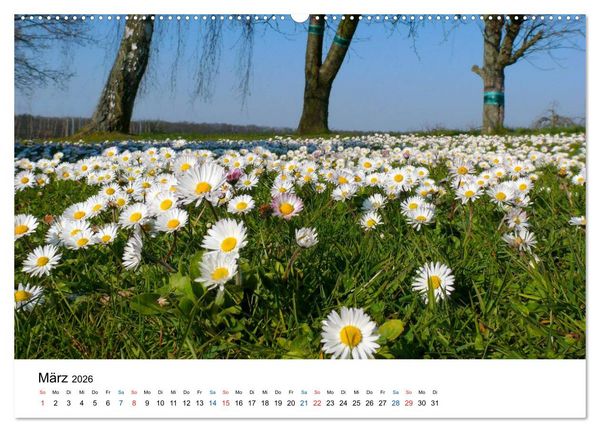 Produktbild: Felder und Wiesen (Wandkalender 2026 DIN A2 quer), CALVENDO Monatskalender