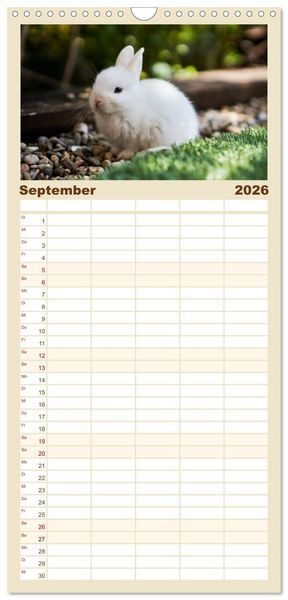Produktbild: Familienplaner 2026 - Hasen - Die niedlichen Hoppeltiere. mit 5 Spalten (Wandkalender, 21 x 45 cm) CALVENDO
