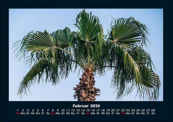 Produktbild: Palmentraum 2026 Fotokalender DIN A4