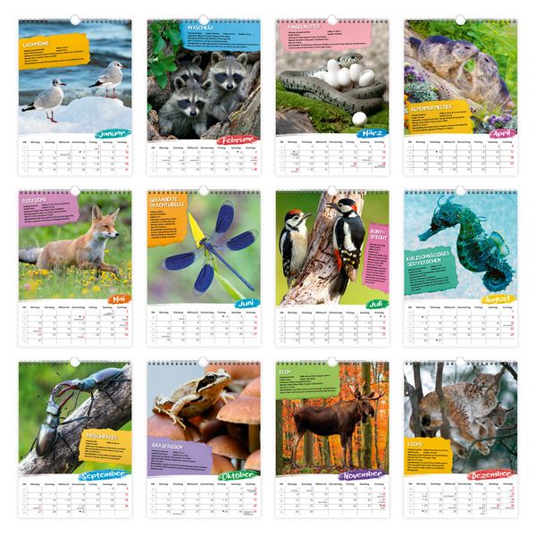 Produktbild: TR&Ouml;TSCH - Classickalender Heimische Tierwelt 2027