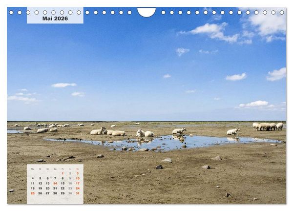 Produktbild: Nord-Ostsee Impressionen (Wandkalender 2026 DIN A4 quer), CALVENDO Monatskalender