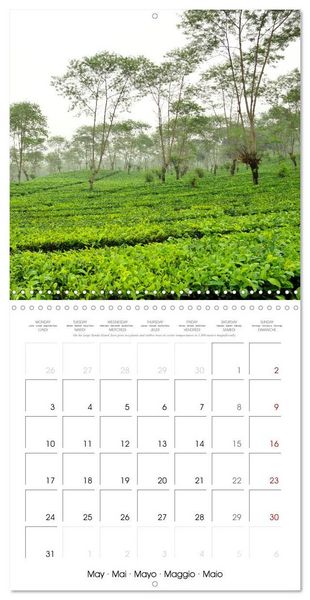 Produktbild: Travel around Java (Wall Calendar 2027 12 &times; 12 Inch) CALVENDO 12 Month Wall Calendar