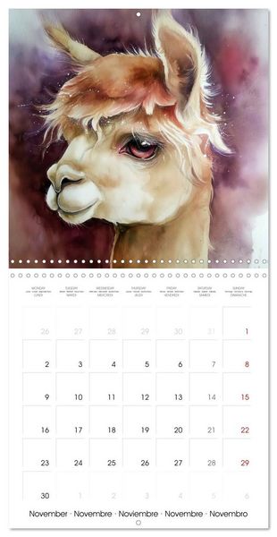 Produktbild: Alpagas du c&oelig;ur (Calendrier mural carr&eacute; 2026 30x30 cm) Calendrier double avec une page pour vos prises de notes