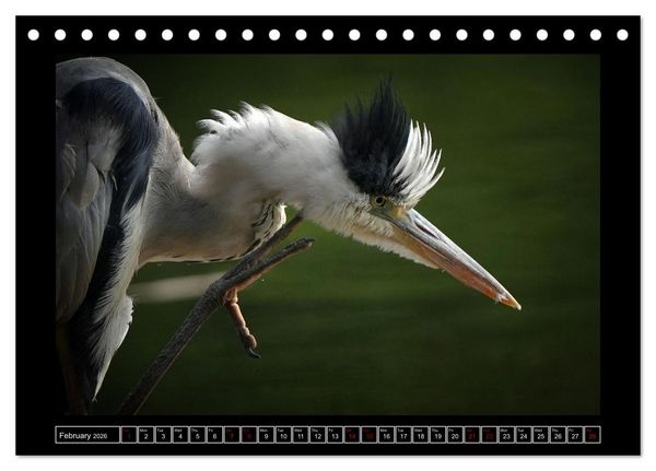 Produktbild: The heron parade (Desk Calendar 2026 DIN A5 landscape), CALVENDO 12 Month DeskCalendar