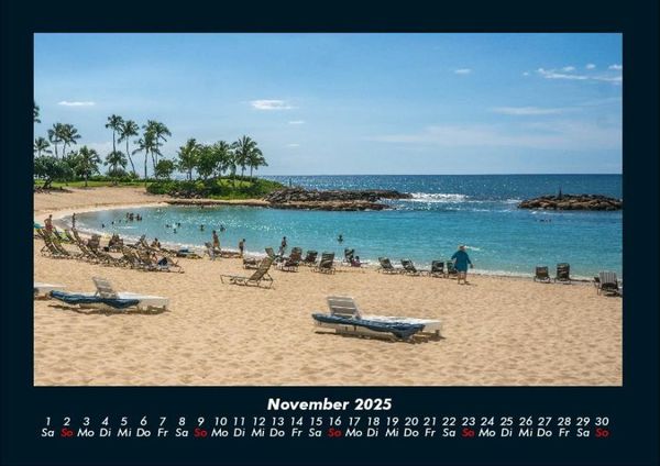 Produktbild: Palmen 2025 Fotokalender DIN A4