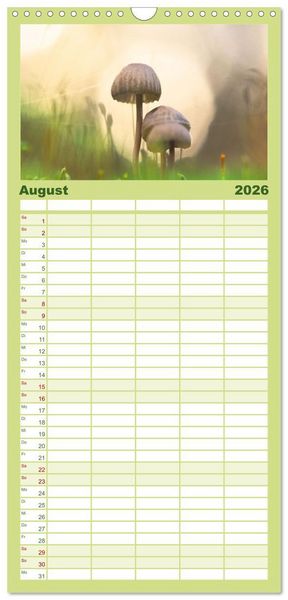 Produktbild: Familienplaner 2026 - Pilzmagie mit 5 Spalten (Wandkalender, 21 x 45 cm) CALVENDO