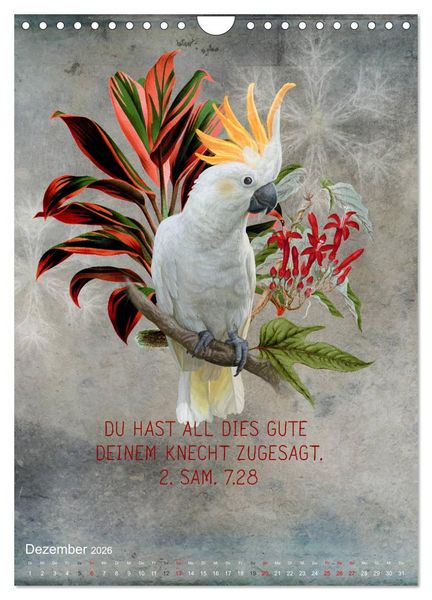 Produktbild: Bibelworte f&uuml;r Vogelfreunde (Wandkalender 2026 DIN A4 hoch), CALVENDO Monatskalender