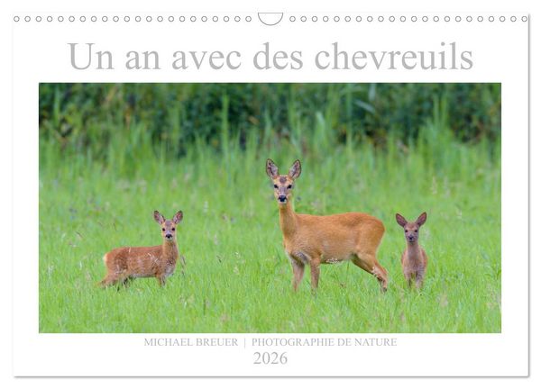 Produktbild: Un an avec des chevreuils (Calendrier mural 2026 DIN A3 vertical), CALVENDO calendrier mensuel