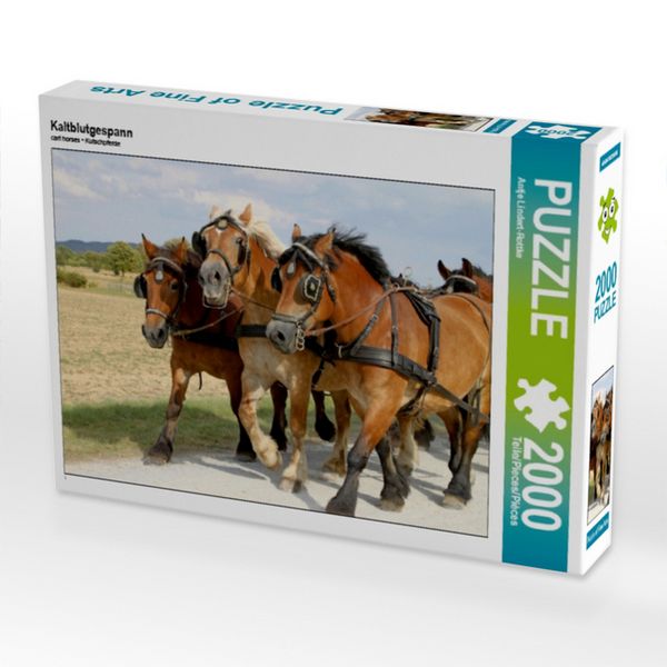 CALVENDO Puzzle Kaltblutgespann | 2000 Teile Lege-Größe 90x67cm Foto-Puzzle für glückliche Stunden