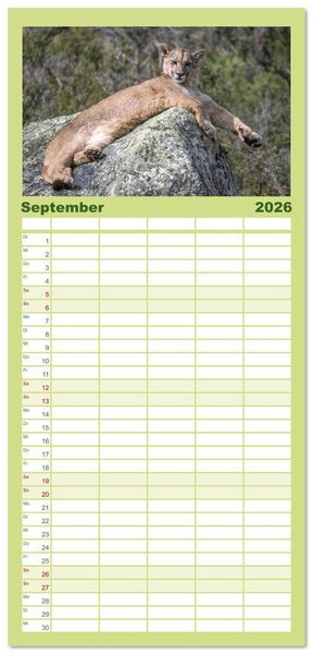 Produktbild: Familienplaner 2026 - Wildlife S&uuml;damerika mit 5 Spalten (Wandkalender, 21 x 45 cm) CALVENDO