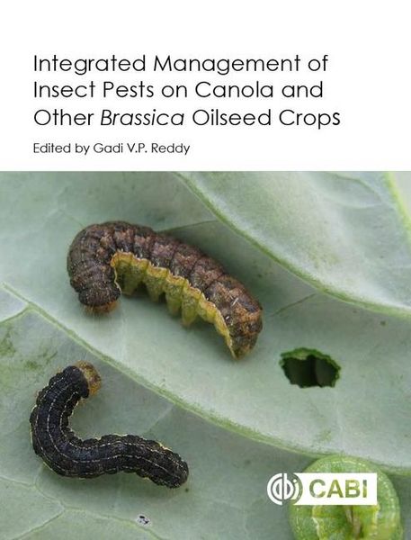 Produktbild: Integrated Management of Insect Pests on Canola and Other Brassica Oilseed Crops