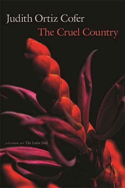 Produktbild: Cruel Country