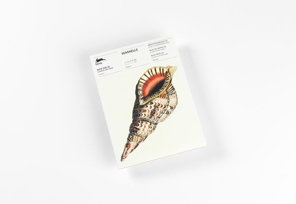 Produktbild: Seashells