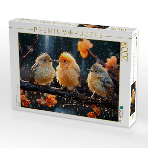 Produktbild: CALVENDO Puzzle V&ouml;gel, Schietwetter, oder? | 2000 Teile Lege-Gr&ouml;&szlig;e 90x67cm Foto-Puzzle f&uuml;r gl&uuml;ckliche Stunden