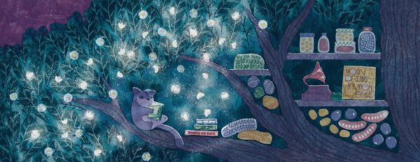 Produktbild: Sugar Glider Lights a Way