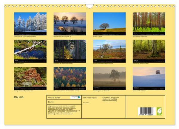Produktbild: B&auml;ume (Wandkalender 2026 DIN A3 quer), CALVENDO Monatskalender