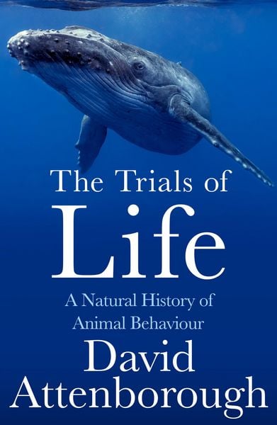 Produktbild: The Trials of Life