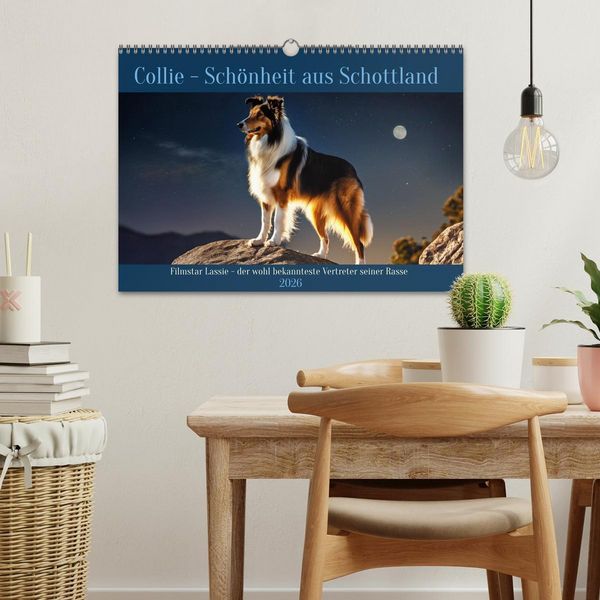 Produktbild: Traumhund Collie (Wandkalender 2026 DIN A3 quer), CALVENDO Monatskalender