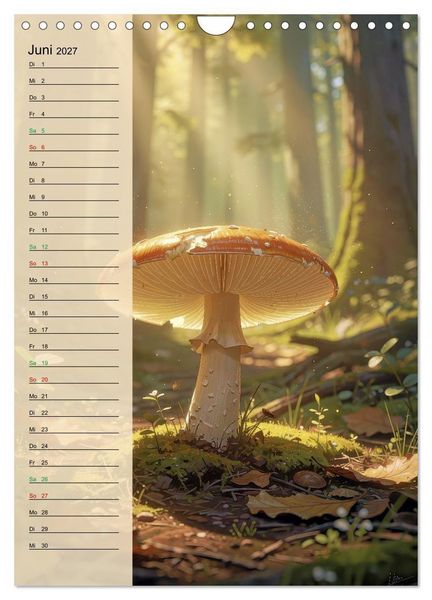 Produktbild: Pilze wie im M&auml;rchen (Wandkalender 2027 DIN A4 hoch), CALVENDO Monatskalender